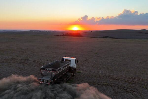 Spreading The Pilot Terradot